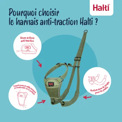 Halti Harnais Anti-Traction pour Chien Halti Halti Harnais Anti-Traction pour Chien Halti