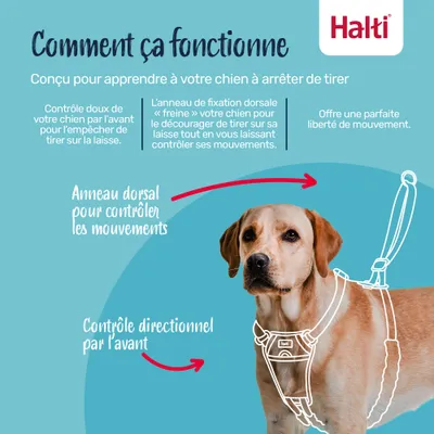 Halti Harnais Anti-Traction pour Chien Halti Halti Harnais Anti-Traction pour Chien Halti