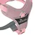HUNTER Harnais Divo Up S-M, Accessoire Chien HUNTER Harnais Divo Up S-M, Accessoire Chien