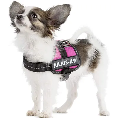JULIUS K-9 K9 POWER — Harnais