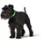 HUNTER Convenience Collier pour Chien en Plastique HUNTER Convenience Collier pour Chien en Plastique