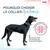 Halti Collier pour Chien Halti Anatomie Halti Collier pour Chien Halti Anatomie