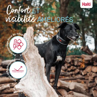 Halti Collier pour Chien Halti Anatomie