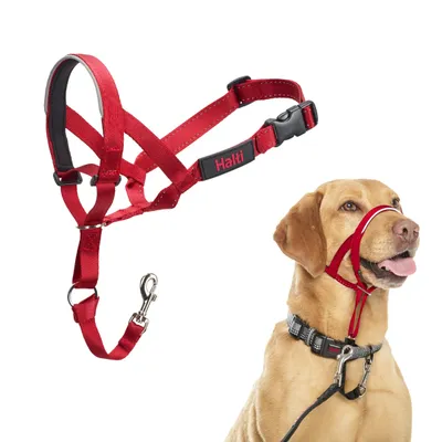 Halti Licol Halti pour Chiens