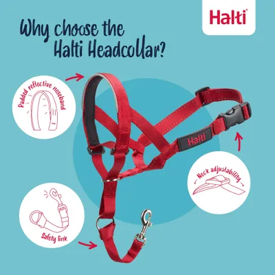 Halti Licol Halti pour Chiens