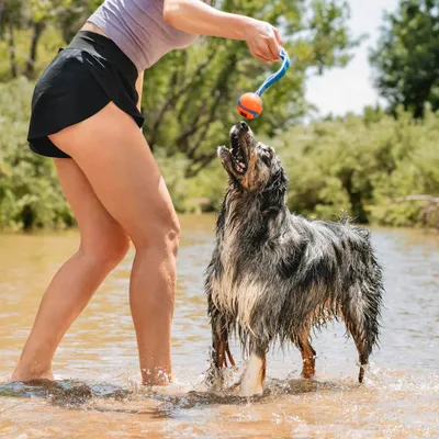 Chuckit! CHUCKIT — Jouet pour Chien Ultra Duo Tug Taille M Chuckit! CHUCKIT — Jouet pour Chien Ultra Duo Tug Taille M