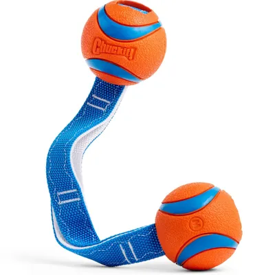 Chuckit! CHUCKIT — Jouet pour Chien Ultra Duo Tug Taille M Chuckit! CHUCKIT — Jouet pour Chien Ultra Duo Tug Taille M