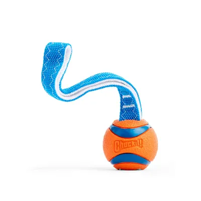 Chuckit! CHUCKIT Ultra Tug — Jouet pour Chien Taille S Chuckit! CHUCKIT Ultra Tug — Jouet pour Chien Taille S