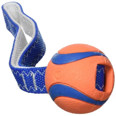 Chuckit! CHUCKIT Ultra Tug — Jouet pour Chien Taille S