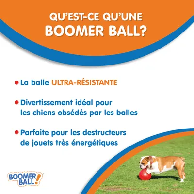 Coachi BOOMER BALL — Balle pour Chien Résistante