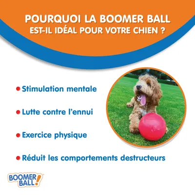 Coachi BOOMER BALL — Balle pour Chien Résistante