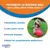 Coachi BOOMER BALL — Balle pour Chien Résistante Coachi BOOMER BALL — Balle pour Chien Résistante