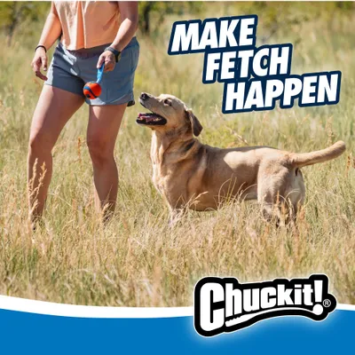 Chuckit! CHUCKIT Ultra Tug — Jouet pour Chien Taille M Chuckit! CHUCKIT Ultra Tug — Jouet pour Chien Taille M