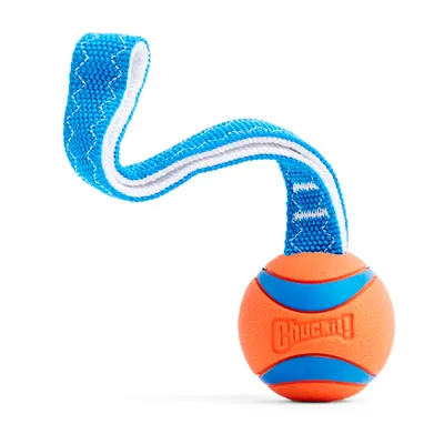 Chuckit! CHUCKIT Ultra Tug — Jouet pour Chien Taille M Chuckit! CHUCKIT Ultra Tug — Jouet pour Chien Taille M