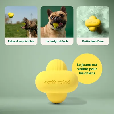 Earth Rated - Balle en caoutchouc à rapporter pour chiens et chiots