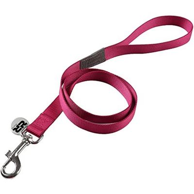 WOUAPY Basic Line — Laisse pour chien x 1,20 m