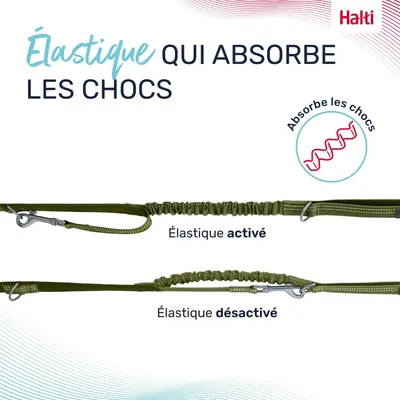 Halti Laisse Multifonctions Halti Anatomie