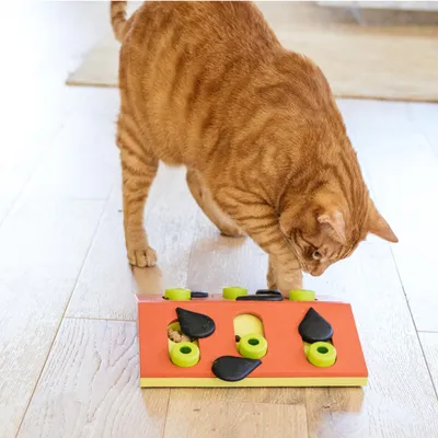 Catstages NINA OTTOSSON — Jeu d’intelligence interactif pour chat