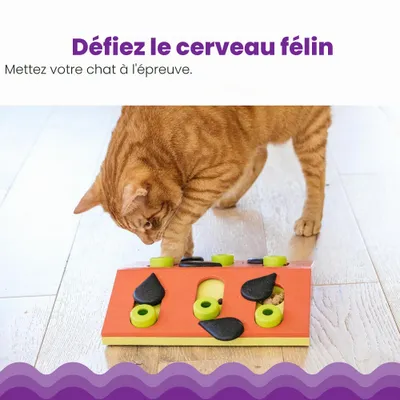 Catstages NINA OTTOSSON — Jeu d’intelligence interactif pour chat
