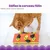 Catstages NINA OTTOSSON — Jeu d’intelligence interactif pour chat Catstages NINA OTTOSSON — Jeu d’intelligence interactif pour chat