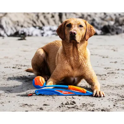 CHUCKIT! — Lanceur de Balle pour Chien avec Balle Caoutchouc CHUCKIT! — Lanceur de Balle pour Chien avec Balle Caoutchouc