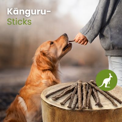 Kauartikel.com Känguru-Sticks