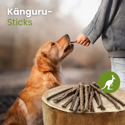 Kauartikel.com Känguru-Sticks