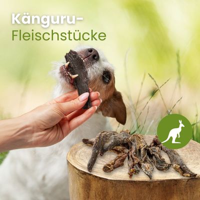Kauartikel.com Känguru-Fleischstücke