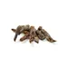 Kauartikel.com Känguru-Fleischstücke
