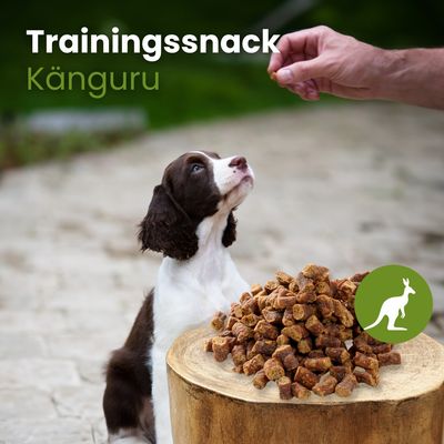 Kauartikel.com Känguru-Sticks-Trainingssnack