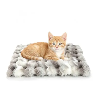 Nobleza Manta Térmica para Gatos y Perros