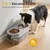 Nobleza 2 IN 1 Comedero Perro Elevado con Almacenamiento Hermético Nobleza 2 IN 1 Comedero Perro Elevado con Almacenamiento Hermético