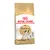 Royal Canin Feline Breed Nutrition Siamese Royal Canin Feline Breed Nutrition Siamese
