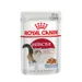 Royal Canin Feline Health Nutrition Instinctive in Gelee