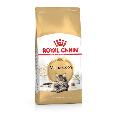 Royal Canin Feline Maine Coon Adult Royal Canin Feline Maine Coon Adult