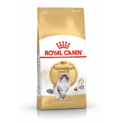 Royal Canin Feline Norwegian Forest Cat Adult