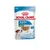 Royal Canin Size Health Nutrition Mini Puppy Royal Canin Size Health Nutrition Mini Puppy