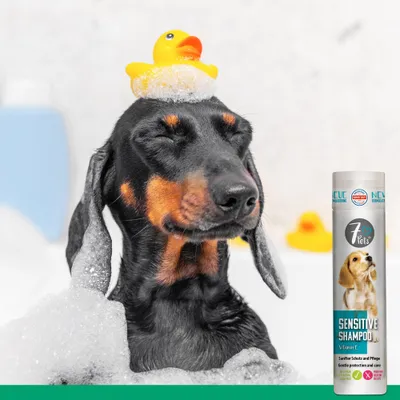 7Pets Sensitive Shampoo – mildes Hundeshampoo für Welpen 7Pets Sensitive Shampoo – mildes Hundeshampoo für Welpen