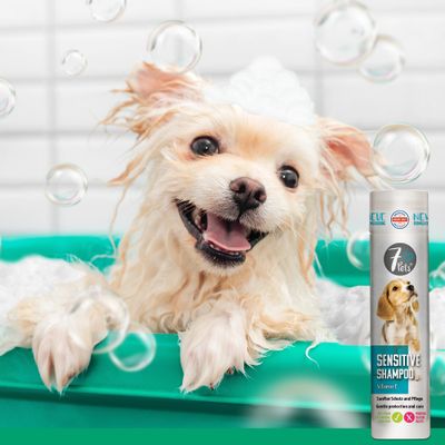 7Pets Sensitive Shampoo – mildes Hundeshampoo für Welpen