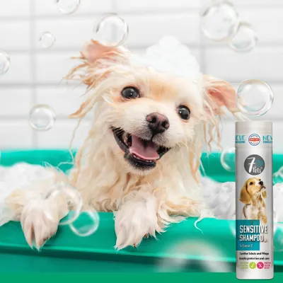 7Pets Sensitive Shampoo – mildes Hundeshampoo für Welpen