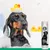 7Pets Black Shampoo – Hundeshampoo für dunkles und schwarzes Fell