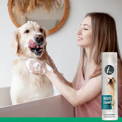 7Pets White Shampoo – Hundeshampoo für helles und weißes Fell