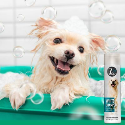 7Pets White Shampoo – Hundeshampoo für helles und weißes Fell