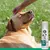 7Pets Easy Clean Spray – Reinigungsspray für Pfoten und Fell unterwegs 7Pets Easy Clean Spray – Reinigungsspray für Pfoten und Fell unterwegs