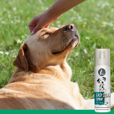 7Pets Easy Clean Spray – Reinigungsspray für Pfoten und Fell unterwegs 7Pets Easy Clean Spray – Reinigungsspray für Pfoten und Fell unterwegs