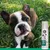 7Pets Easy Clean Spray – Reinigungsspray für Pfoten und Fell unterwegs 7Pets Easy Clean Spray – Reinigungsspray für Pfoten und Fell unterwegs