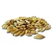 Pavo Goldhafer