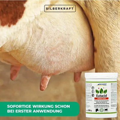 Schopf Eutacid Tonerde sauer – Pflegebalsam für Euter, Sehnen und Muskeln Schopf Eutacid Tonerde sauer – Pflegebalsam für Euter, Sehnen und Muskeln