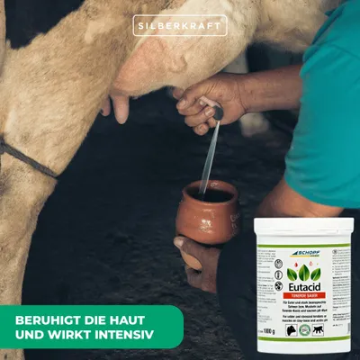 Schopf Eutacid Tonerde sauer – Pflegebalsam für Euter, Sehnen und Muskeln Schopf Eutacid Tonerde sauer – Pflegebalsam für Euter, Sehnen und Muskeln