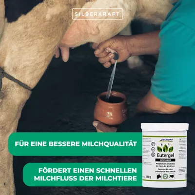Schopf Eutergel grün Entspannung – Euterpflegebalsam für Milchtiere Schopf Eutergel grün Entspannung – Euterpflegebalsam für Milchtiere